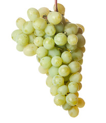 grapes