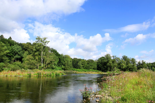 Die Renaturierung der Ruhr im Juli