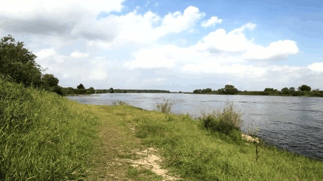 die Elbe