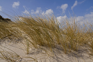 Fototapeta premium Strand