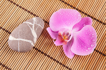 Stuoia, pietra e orchidea