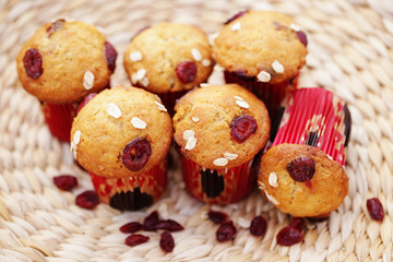 muffins with cranberries