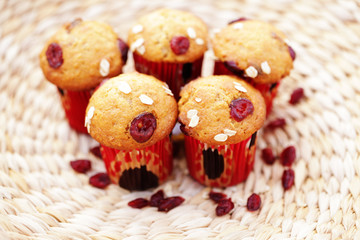 muffins with cranberries