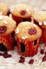muffins with cranberries