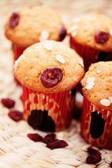 muffins with cranberries