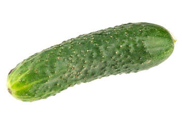 Single cucumber