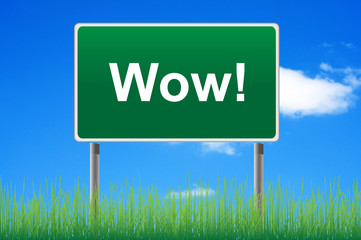 Wow road sign on sky background. Bottom grass.