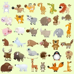 Abwaschbare Fototapete Zoo Großer Vektor-Cartoon-Tiersatz