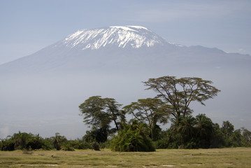 African savannah and Kilimanjaro