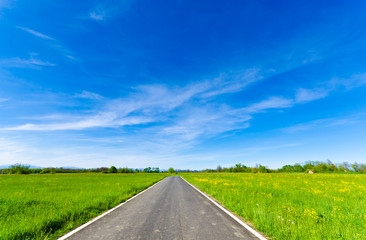 Fototapeta na wymiar Desert road running through the plains