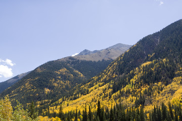 Autumn Landscape in Colorado