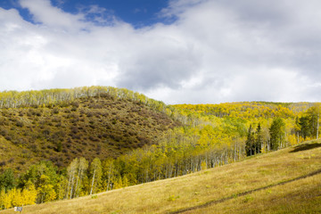 Naklejka premium Autumn Landscape in Colorado