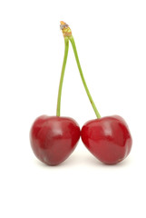 cherry