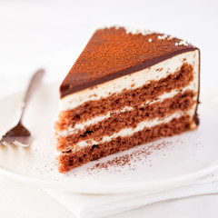 Chocolate cream cake with cocoa