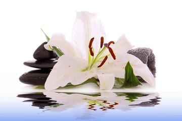 white lily and spa stone in water © Swetlana Wall