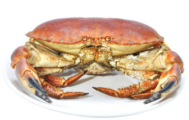 Plato con buey de mar.