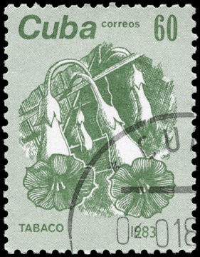 CUBA - CIRCA 1983 Tobacco