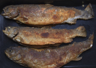 Grilled trout