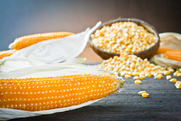 ear of corn © Ruggiero Scardigno