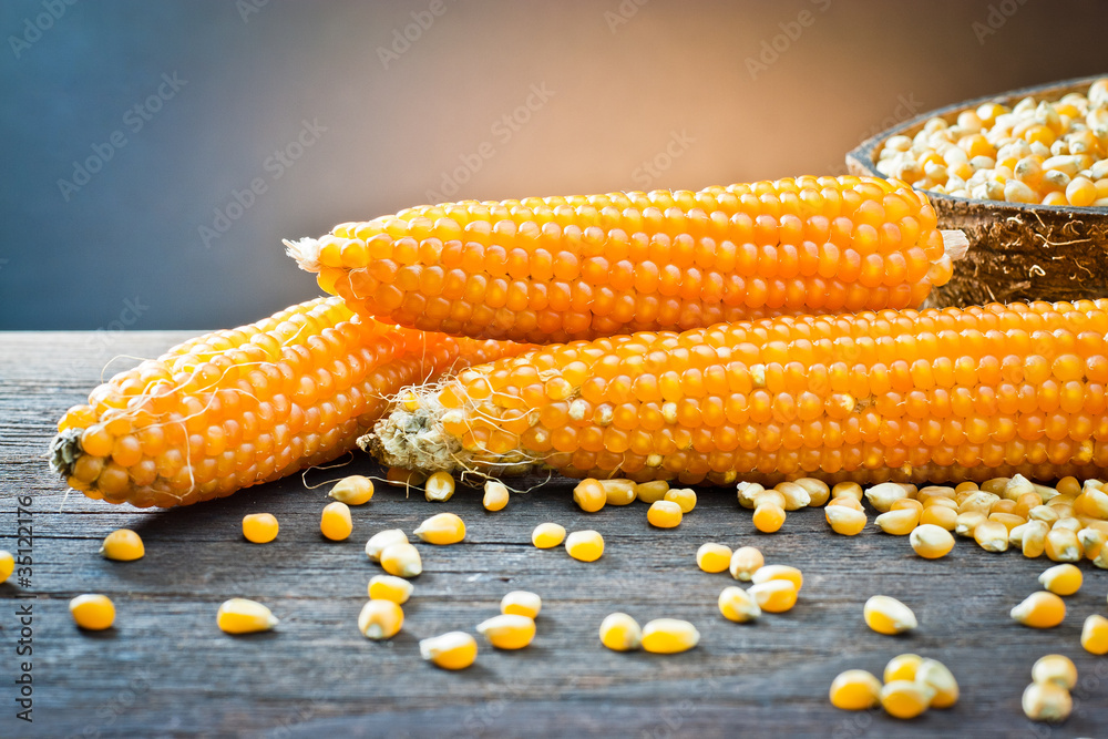 Wall mural ear of corn