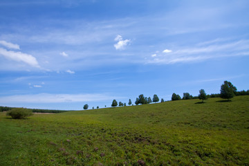 Fototapeta premium grassland landscape