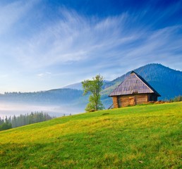 Fototapeta na wymiar beautiful wooden house on a green hill