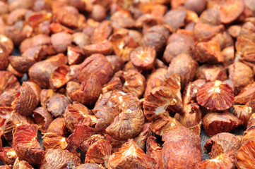 Dried Betel Nut or Areca Nut