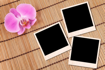 Orchidea & fotografie