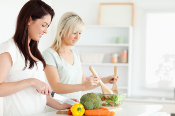 Obraz na płótnie Canvas Women preparing dinner