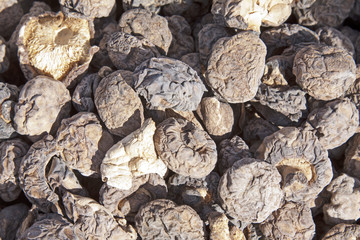 dried mushrooms
