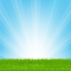 Obraz premium Nature