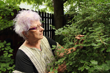old woman gardening