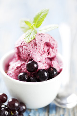 blackcurrent sorbet