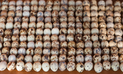 quail eggs