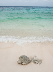 Beautiful beach