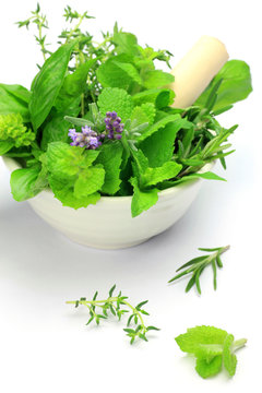 herb