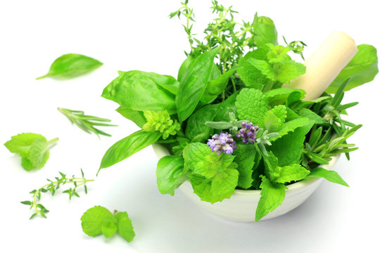 herb
