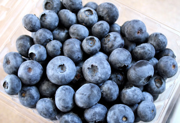 Blueberries