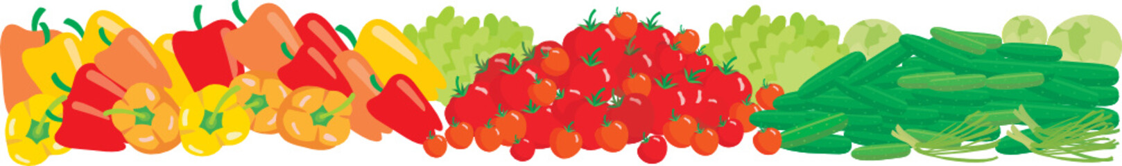 Vegetables borders isolated on white background. vector