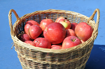 Falläpfel im Korb