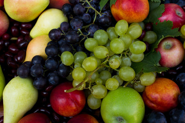 Fresh organic fruit