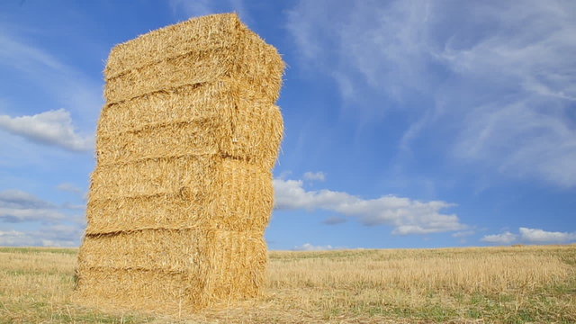 catasta di fieno e paglia