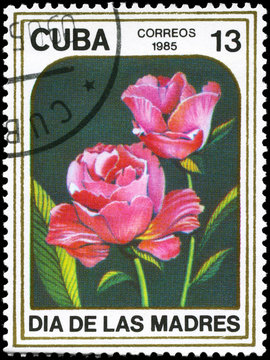 CUBA - CIRCA 1985 Roses