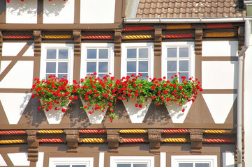 Fachwerkhaus - Fenstergruppe