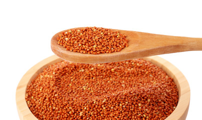 Unpilled millet in plate with spoon isolated on white