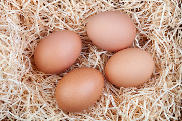 Four brown eggs