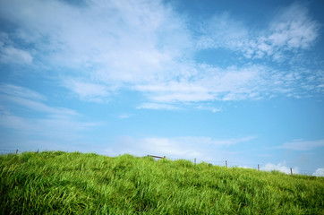 Fototapeta na wymiar 緑の丘と青空