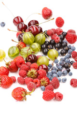 different kinds of berries