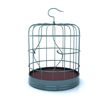 broken bird cage