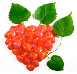 candy heart on white with leaves